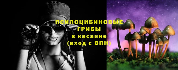 spice Армянск