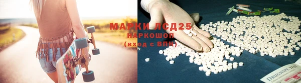 PSILOCYBIN Арсеньев