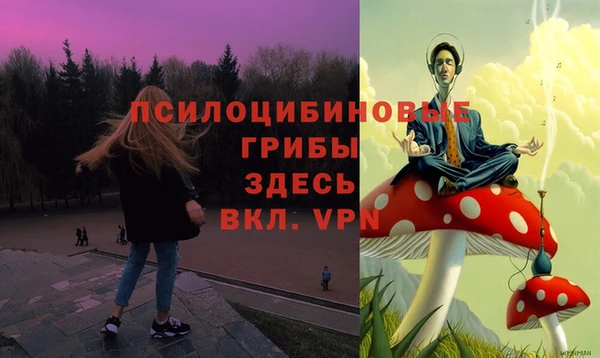 PSILOCYBIN Арсеньев