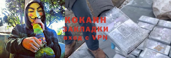 ГАЛЛЮЦИНОГЕННЫЕ ГРИБЫ Горно-Алтайск