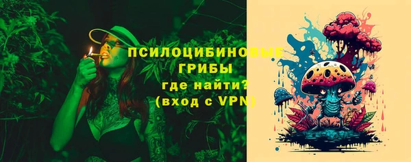 PSILOCYBIN Арсеньев